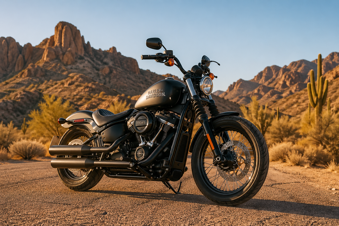 Black Harley-Davidson motorcycle parked on kickstand in a sunny desert landscape with mountains in the background